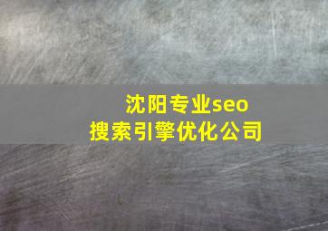 沈阳专业seo搜索引擎优化公司
