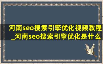 河南seo搜索引擎优化视频教程_河南seo搜索引擎优化是什么