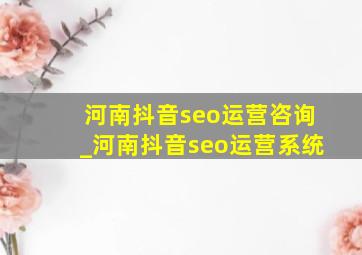 河南抖音seo运营咨询_河南抖音seo运营系统