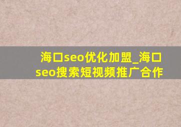 海口seo优化加盟_海口seo搜索短视频推广合作