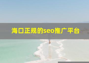 海口正规的seo推广平台