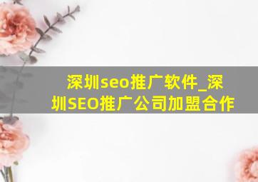 深圳seo推广软件_深圳SEO推广公司加盟合作