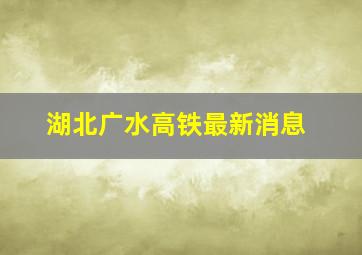 湖北广水高铁最新消息