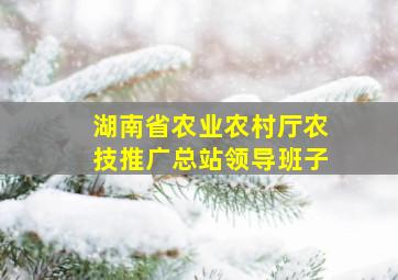 湖南省农业农村厅农技推广总站领导班子