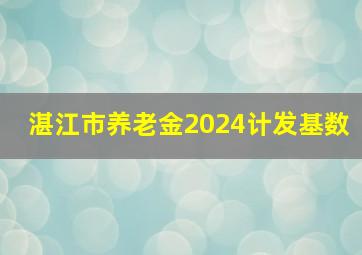 湛江市养老金2024计发基数