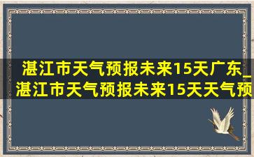 湛江市天气预报未来15天广东_湛江市天气预报未来15天天气预报