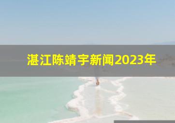 湛江陈靖宇新闻2023年