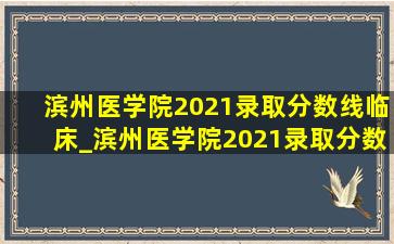滨州医学院2021录取分数线临床_滨州医学院2021录取分数线