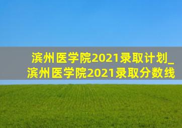滨州医学院2021录取计划_滨州医学院2021录取分数线