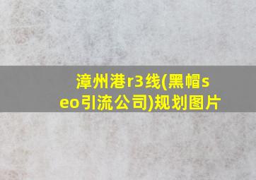 漳州港r3线(黑帽seo引流公司)规划图片