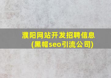 濮阳网站开发招聘信息(黑帽seo引流公司)