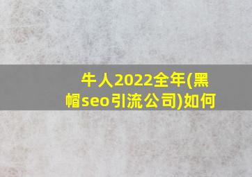 牛人2022全年(黑帽seo引流公司)如何