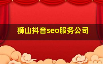 狮山抖音seo服务公司