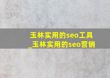 玉林实用的seo工具_玉林实用的seo营销