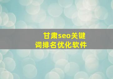 甘肃seo关键词排名优化软件