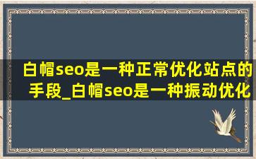 白帽seo是一种正常优化站点的手段_白帽seo是一种振动优化站点的手段