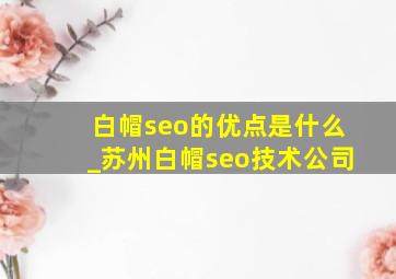 白帽seo的优点是什么_苏州白帽seo技术公司