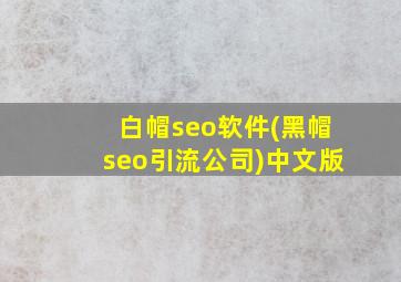 白帽seo软件(黑帽seo引流公司)中文版