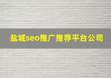 盐城seo推广推荐平台公司