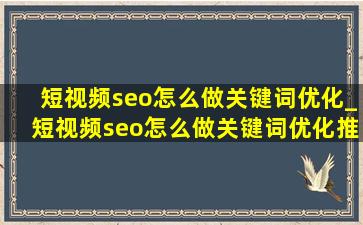 短视频seo怎么做关键词优化_短视频seo怎么做关键词优化推广