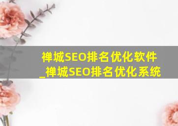 禅城SEO排名优化软件_禅城SEO排名优化系统
