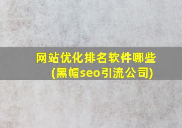 网站优化排名软件哪些(黑帽seo引流公司)