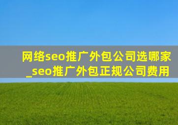网络seo推广外包公司选哪家_seo推广外包正规公司费用