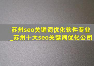 苏州seo关键词优化软件专业_苏州十大seo关键词优化公司