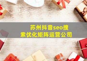 苏州抖音seo搜索优化矩阵运营公司