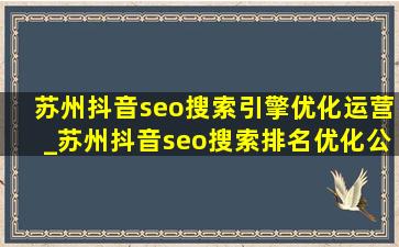 苏州抖音seo搜索引擎优化运营_苏州抖音seo搜索排名优化公司推荐