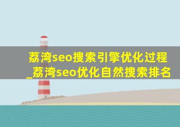 荔湾seo搜索引擎优化过程_荔湾seo优化自然搜索排名