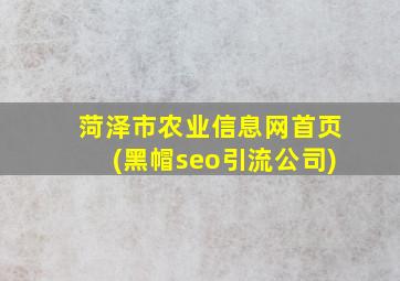 菏泽市农业信息网首页(黑帽seo引流公司)