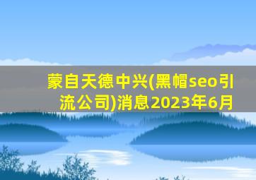 蒙自天德中兴(黑帽seo引流公司)消息2023年6月