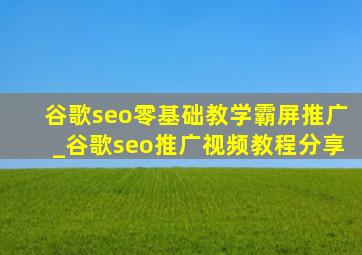 谷歌seo零基础教学霸屏推广_谷歌seo推广视频教程分享