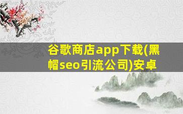 谷歌商店app下载(黑帽seo引流公司)安卓
