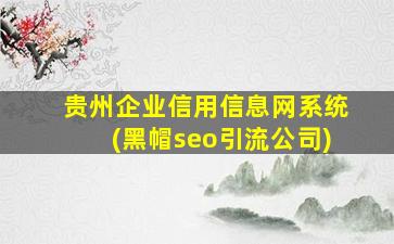 贵州企业信用信息网系统(黑帽seo引流公司)