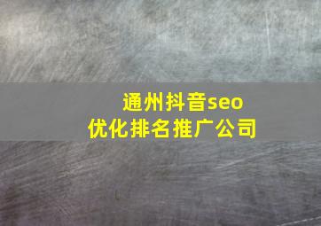通州抖音seo优化排名推广公司