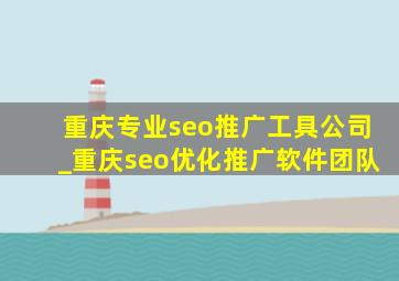 重庆专业seo推广工具公司_重庆seo优化推广软件团队