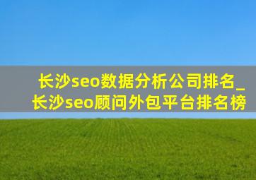 长沙seo数据分析公司排名_长沙seo顾问外包平台排名榜