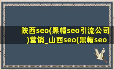陕西seo(黑帽seo引流公司)营销_山西seo(黑帽seo引流公司)营销获客平台