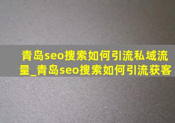 青岛seo搜索如何引流私域流量_青岛seo搜索如何引流获客