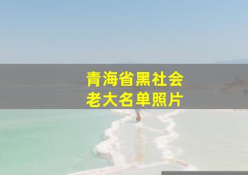 青海省黑社会老大名单照片