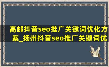 高邮抖音seo推广关键词优化方案_扬州抖音seo推广关键词优化方案
