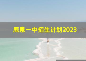 鹿泉一中招生计划2023