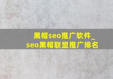 黑帽seo推广软件_seo黑帽联盟推广排名