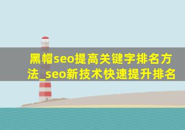 黑帽seo提高关键字排名方法_seo新技术快速提升排名