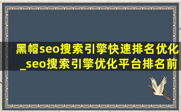 黑帽seo搜索引擎快速排名优化_seo搜索引擎优化平台排名前十